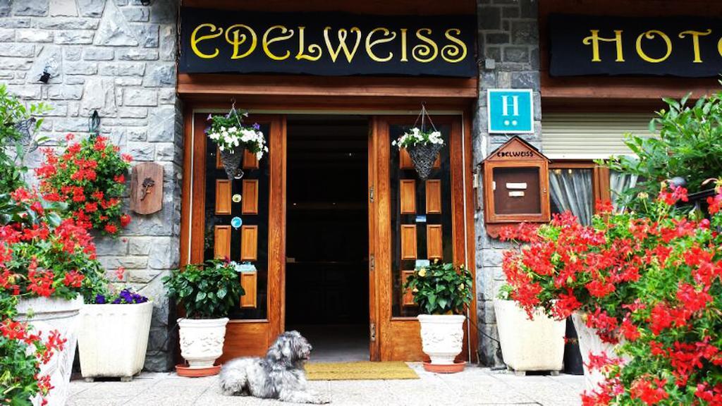 Edelweiss Hotel Торла Екстериор снимка